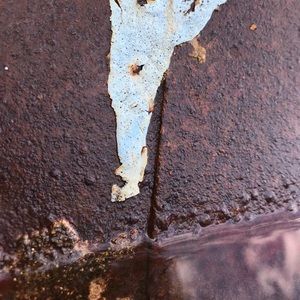 Meet your Posher, Chase